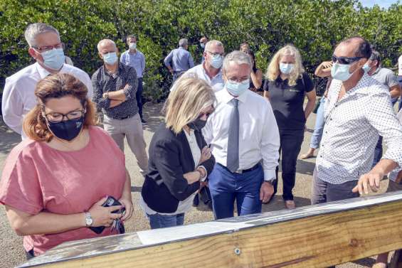 Un sentier flambant neuf dans la mangrove de Ouémo