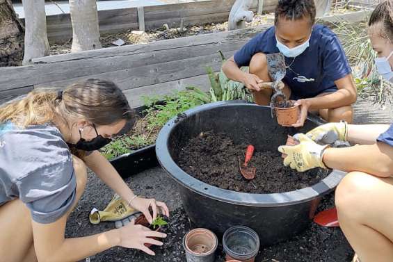 Dumbéa : un atelier pour apprendre la permaculture