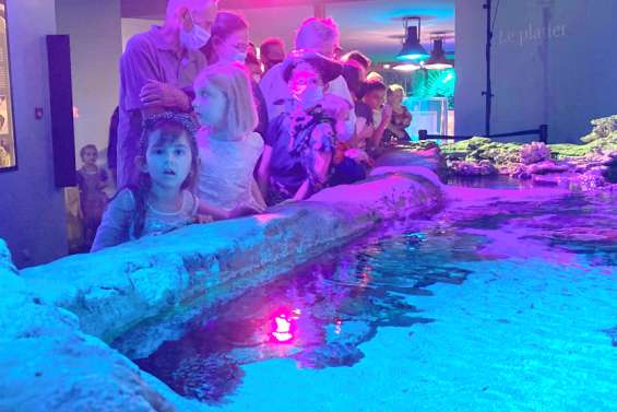 L'Aquarium des lagons a revêtu ses habits de carnaval