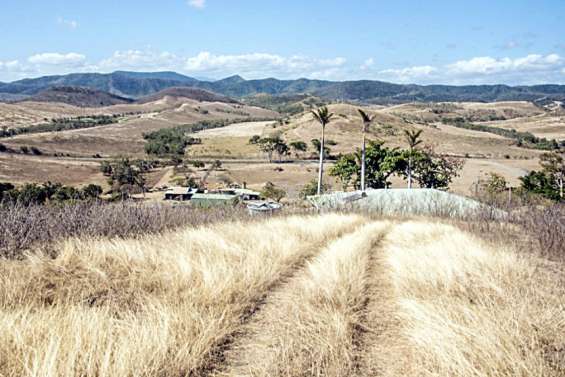 Réchauffement climatique : quelles conséquences sur le Caillou ?