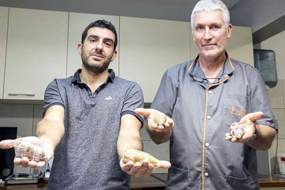 [VIDÉO] Sciences : un venin qui vaut bien plus que de l'or