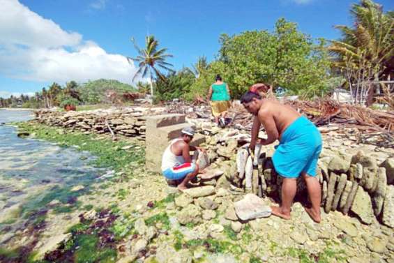 Le sanctuaire des îles Phoenix bientôt ouvert à la pêche
