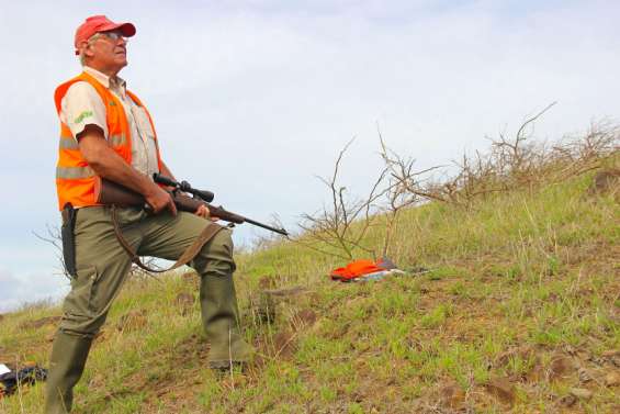 Les opérations  de régulation ont repris