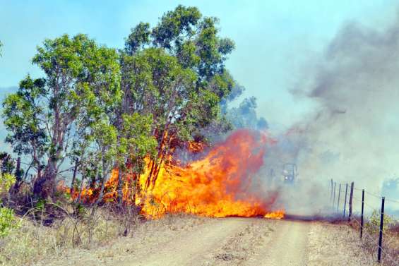 Six communes placées en risque de feu de forêt très élevé