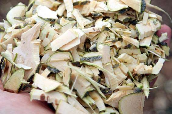 Une distribution de broyat pour la Semaine européenne de réduction des déchets