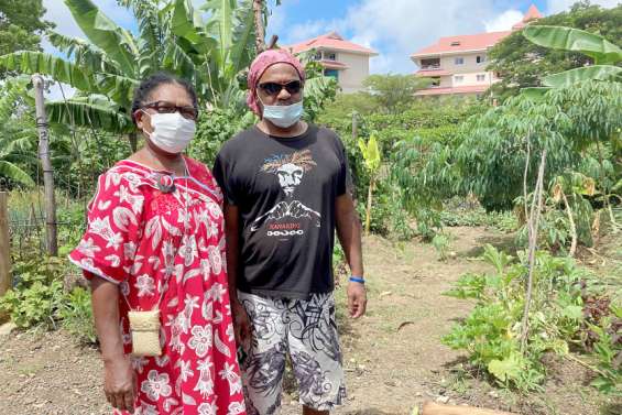Les jardins familiaux, le dispositif qui plaît aux habitants des quartiers