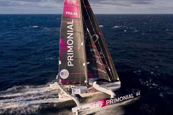 Le bonheur des premiers arrivés sur la Transat Jacques-Vabre