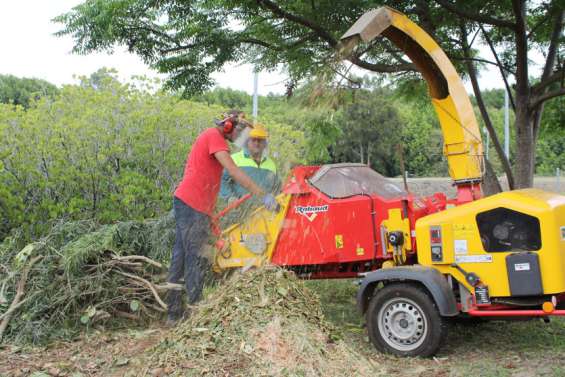 Le broyage des végétaux à domicile commencera le 3 décembre