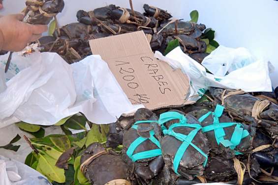 La pêche et la vente de crabes de palétuviers bientôt interdites en province Sud