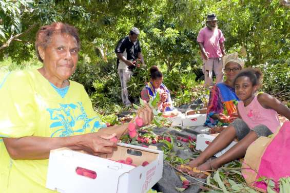 [GROS PLAN] Une saison 