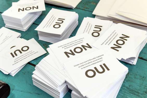 Le Conseil d’État saisi par des avocats pour reporter le référendum