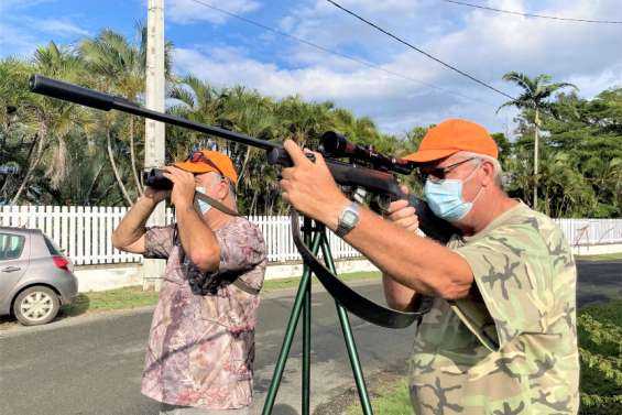 [VIDÉO] Les bulbuls bientôt éradiqués de Brousse