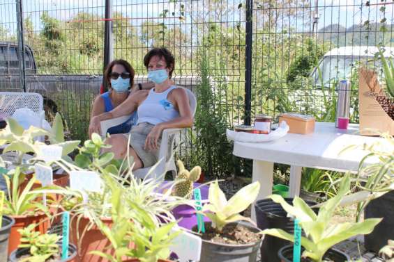 Une brocante au profit des animaux de la Spanc