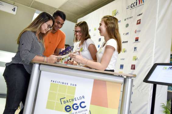 Des étudiants de l'EGC pour aider les entreprises