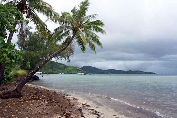Polynésie : un jeune homme mordu à la jambe par un requin
