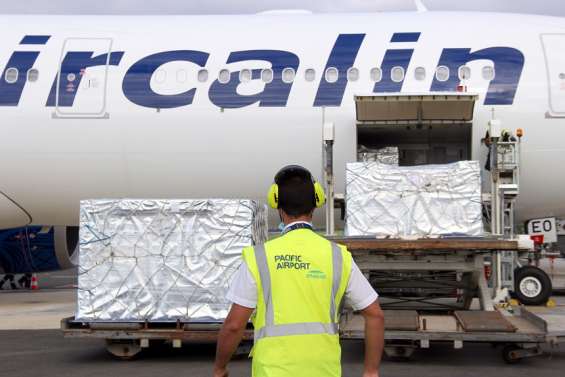 [VIDÉO] L’avion-cargo de Noël est revenu de Nouvelle-Zélande les soutes pleines de mets délicieux