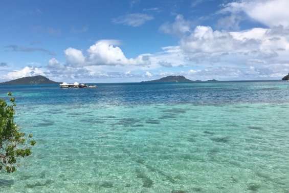 Un plongeur attaqué par un requin aux Gambier