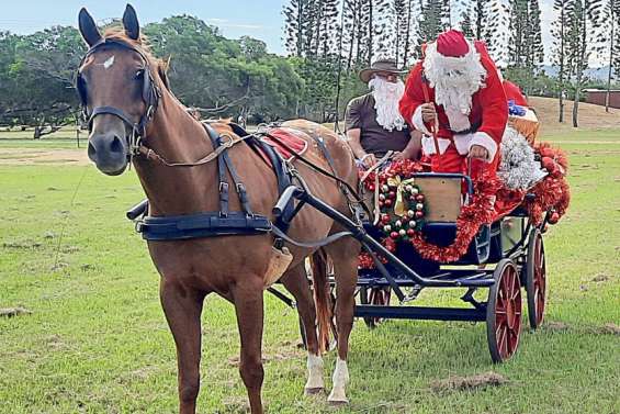 Cadeaux et solidarité pour les fêtes à Boulouparis