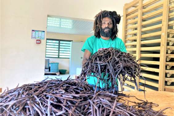 [VIDÉO] La vanille des Loyauté, une richesse sous-exploitée