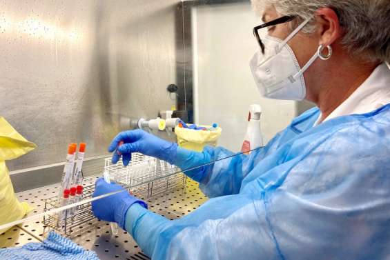 Sept nouveaux cas probables du variant Omicron