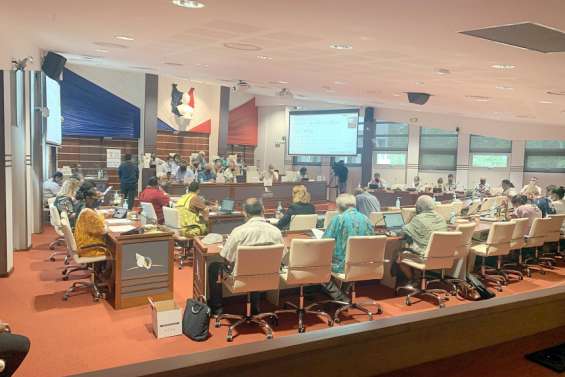 Le Congrès valide la taxe sur les dividendes en 2022