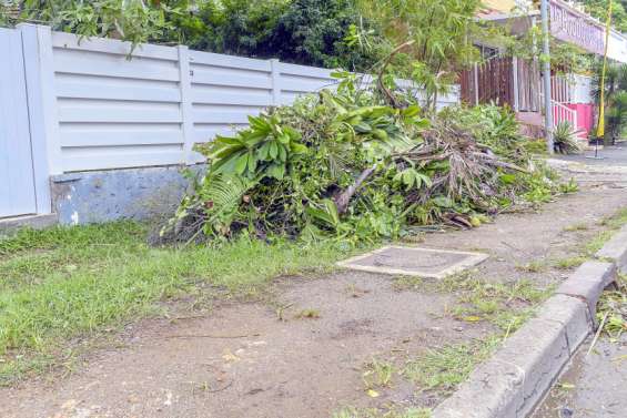 Les règles de collecte des déchets verts ont changé à Dumbéa
