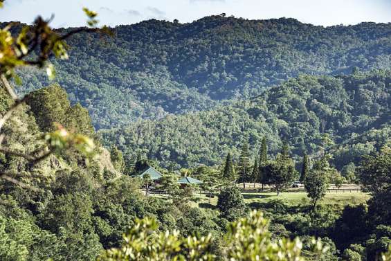 La Foa : le parc des Grandes Fougères fermé à cause des intempéries