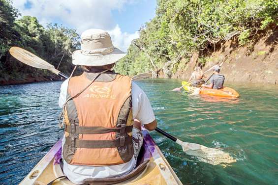 Un bol d'air frais à l'ombre des chênes gommes en fleurs de la rivière Bleue