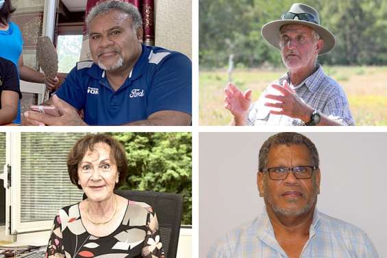 Monvoisin, Cognard, Pouyé, Lakalaka… Les nouveaux visages du Cese