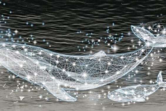 Une œuvre au solaire pour le renouvelable