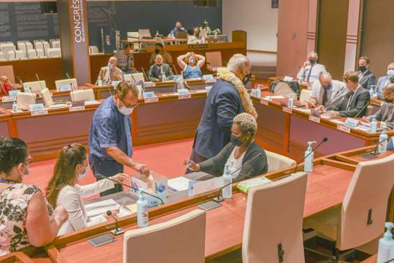 Une réunion du Cese sous tension