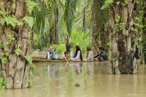 Jakarta révoque des milliers de licences minières