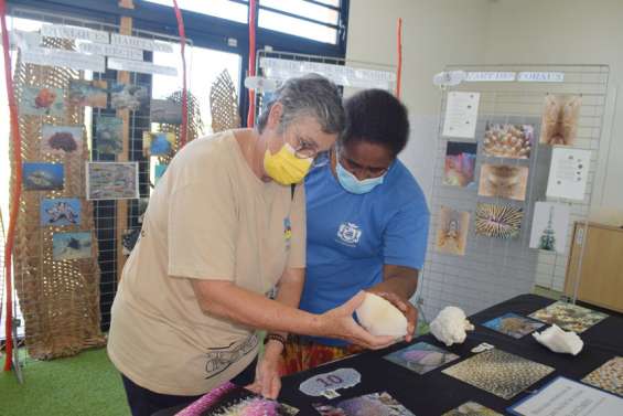Le corail dans tous ses états à la Maison de la biodiversité