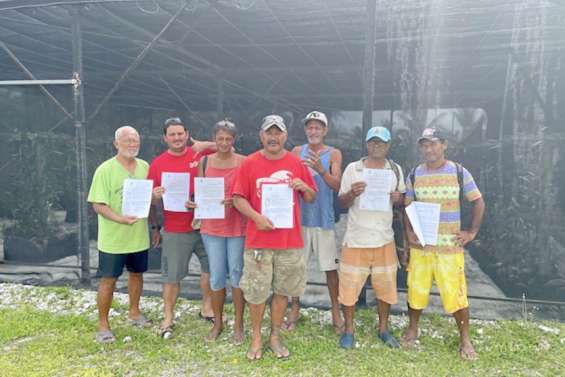 La vanille, un espoir pour Hao