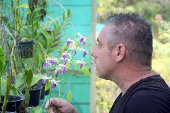 Olivier Bonnace, les orchidées comme havre de paix