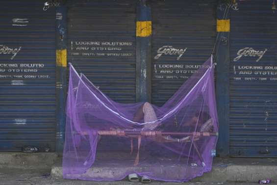 Du faux sang pour vaincre le moustique