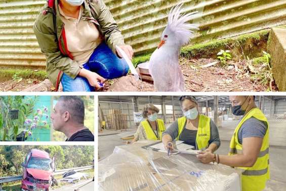 Le tour de l’actualité du mercredi 12 janvier en Nouvelle-Calédonie