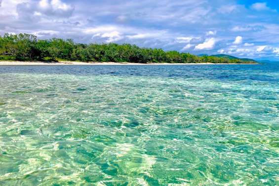 Les baigneurs évacués de la plage de Poé après une alerte requin