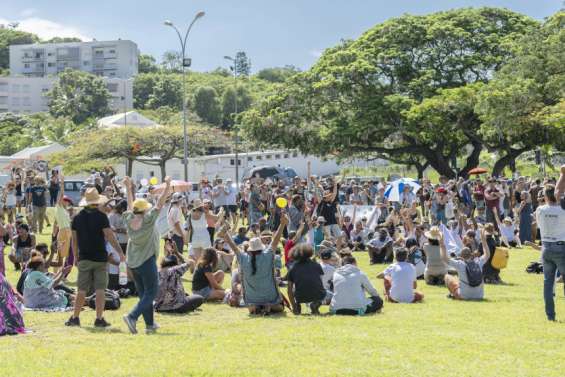 Environ 300 manifestants contre l'obligation vaccinale