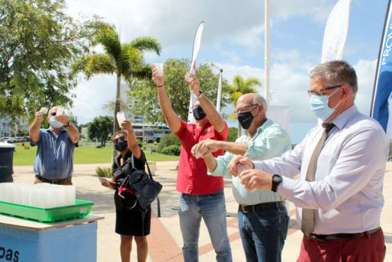Mont-Dore : les premiers moustiques porteurs de la bactérie Wolbachia lâchés sur la commune