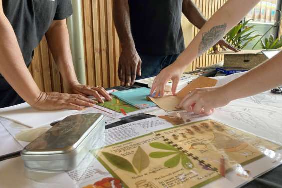 Un atelier réservé aux naturalistes en herbe