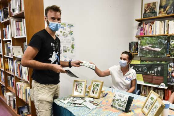 Un tout nouveau guide sur les palmiers endémiques