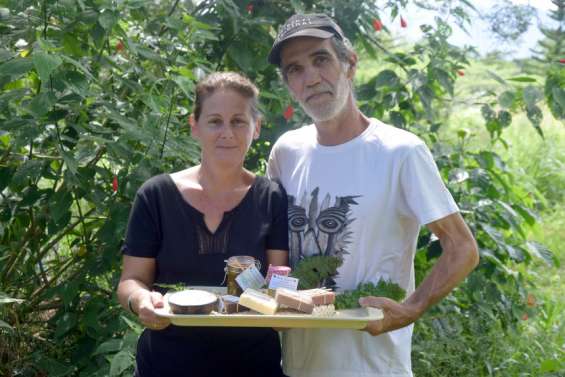 À Tiaoué, le savon se fait au naturel