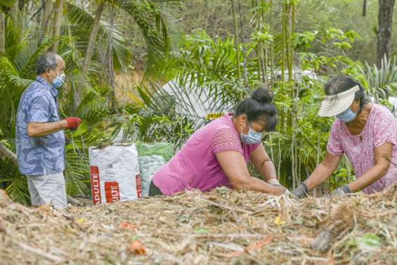 Distribution de broyat à la pépinière municipale