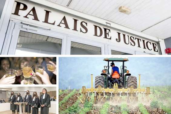 Le tour de l'actualité du jeudi 27 janvier en Nouvelle-Calédonie  