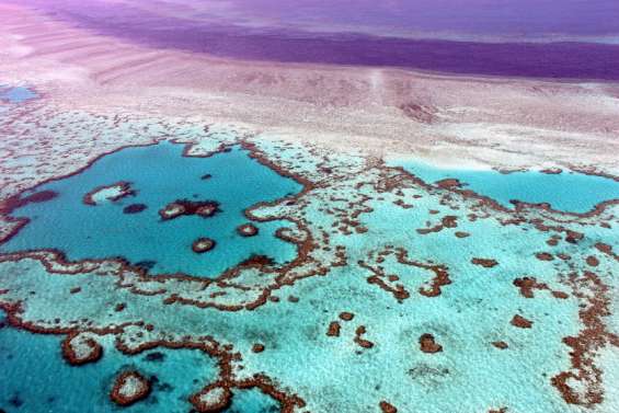 Un milliard pour protéger la Grande Barrière