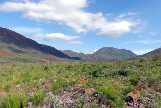 Mont-Dore : deux ans après les feux, la vallée de la Coulée retrouve des couleurs