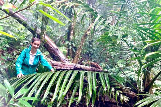 [GROS PLAN] Un guide 