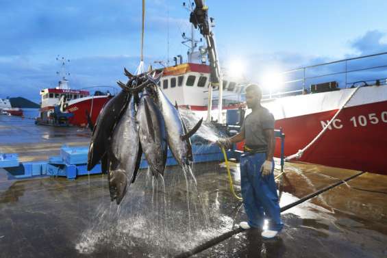 Le statut de marin va bientôt être modernisé
