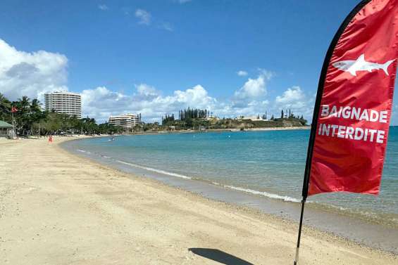 Une barrière et des alarmes pour prévenir les attaques requins à Nouméa